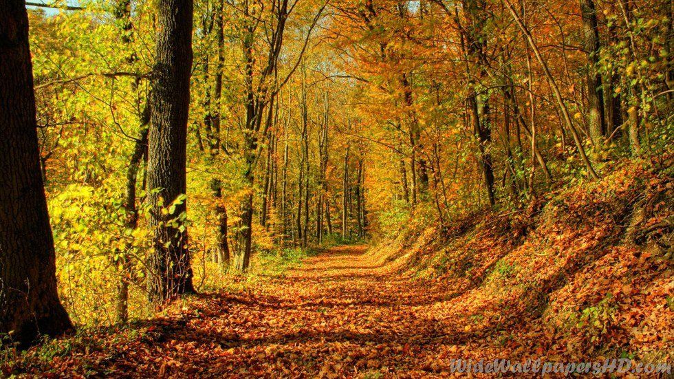 500 Words on Giving Thanks