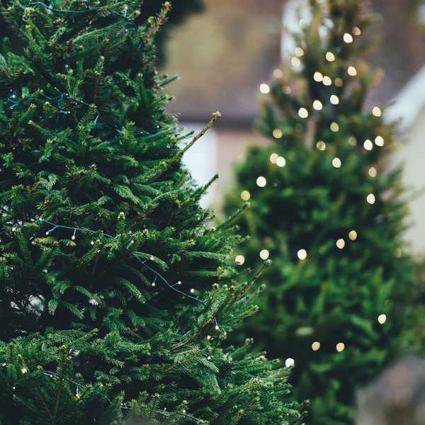 Can We Celebrate Christmas Now?