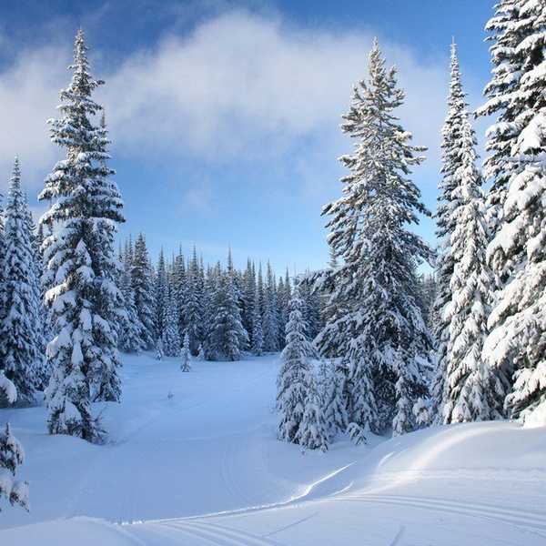 10 Tips For Surviving The Winter Blues