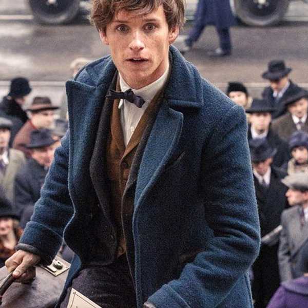 Why Newt Scamander Is The Protagonist Harry Potter Fans Needed