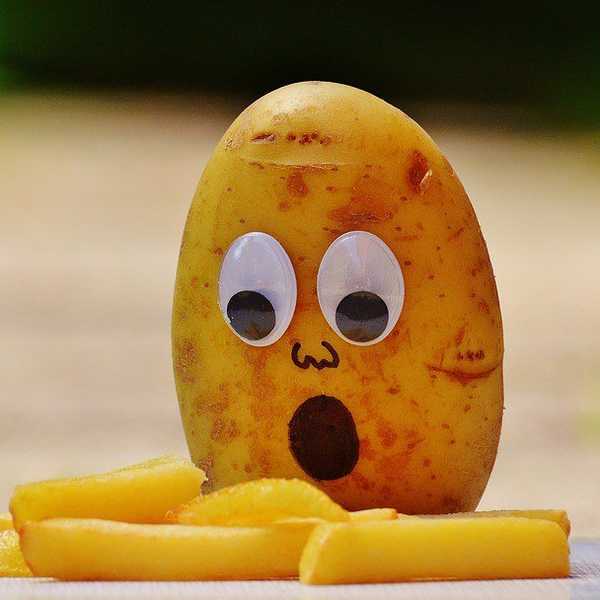 8 Reasons Why Potatoes are Better Than People