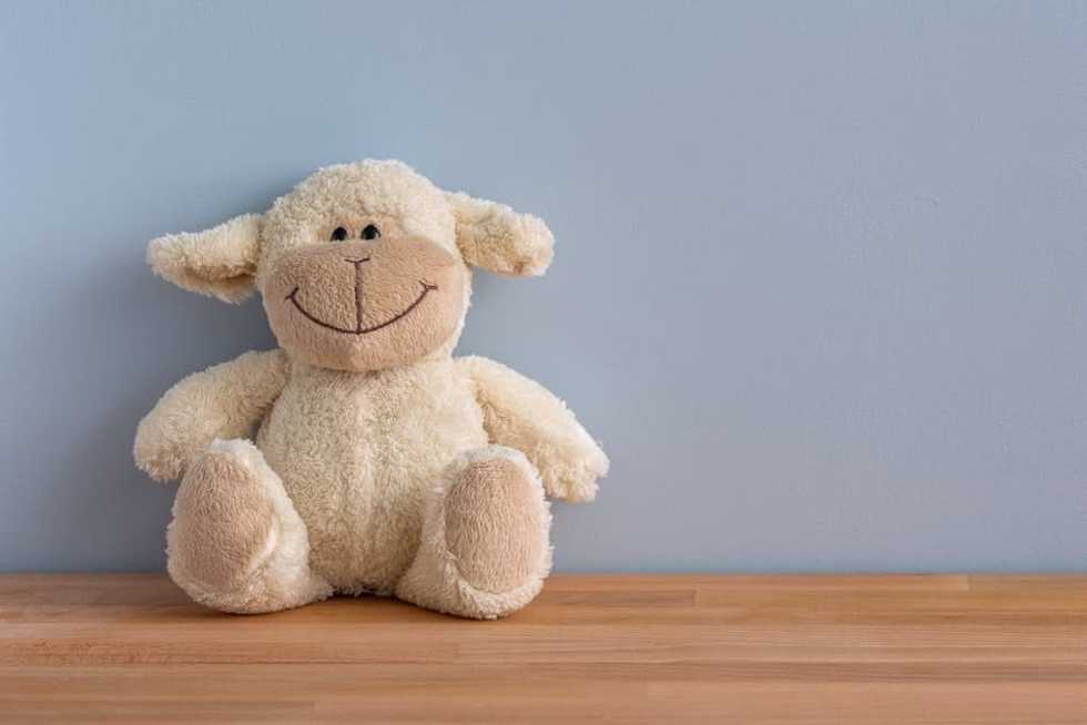 How to be Grateful during the Holiday Seasons