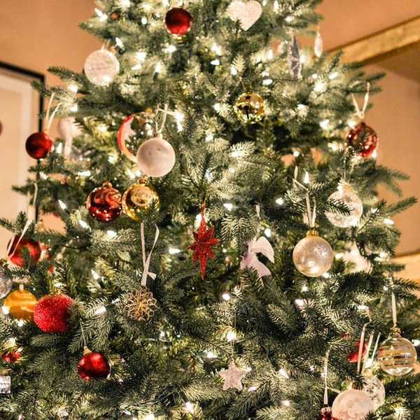 8 Reasons Christmas Time Is The Best Time Of The Year