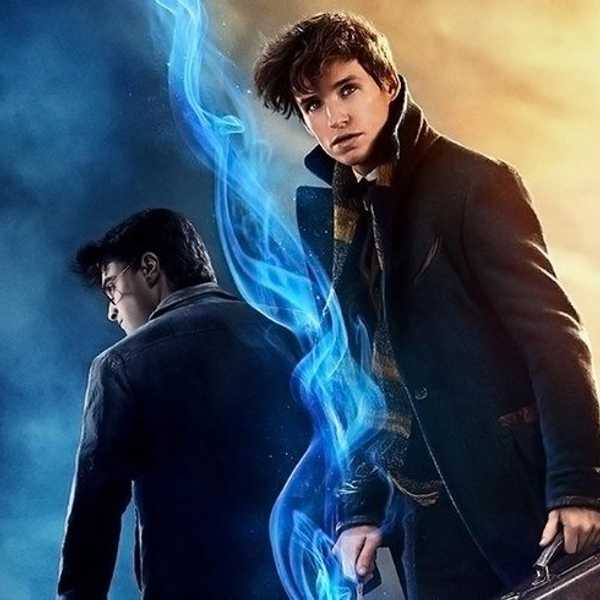 Harry Potter Vs. Newt Scamander