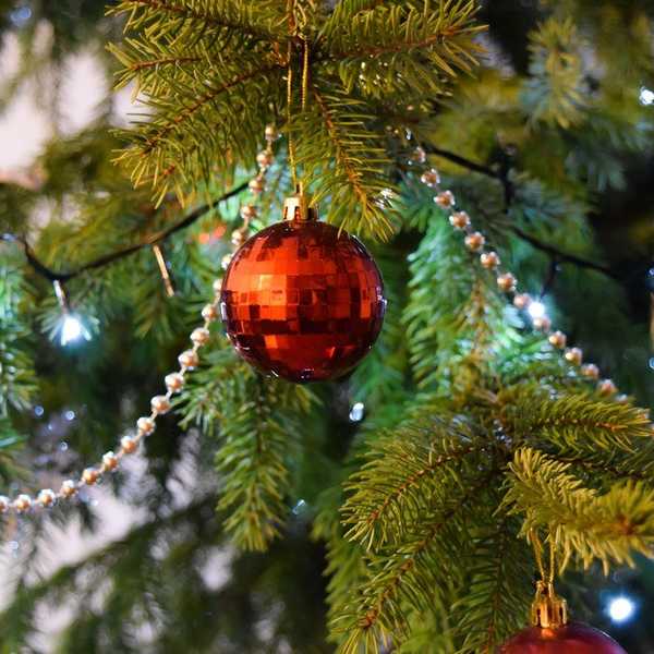 10 Best Things About The Holidays