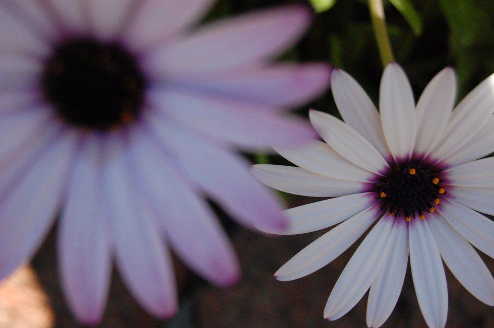 Its Okay To Not Be Okay