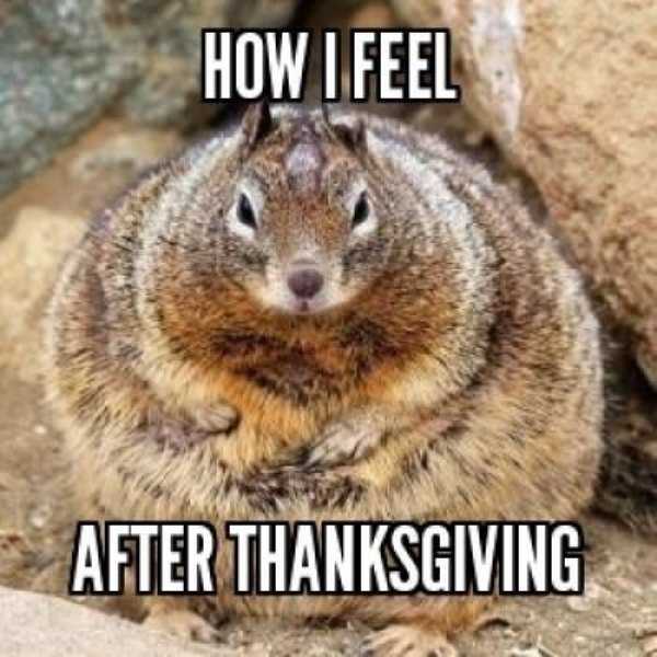 10 Reasons Why I'm Happy it's Thanksgiving Break