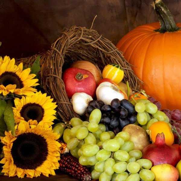 8 Things I Am Thankful For This Thanksgiving