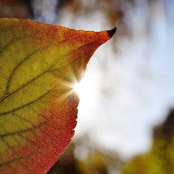 10 Things College Students Need To Be Thankful For