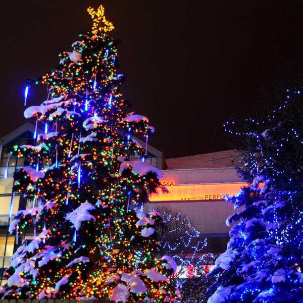 5 Ways To Get Into The Holiday Spirit