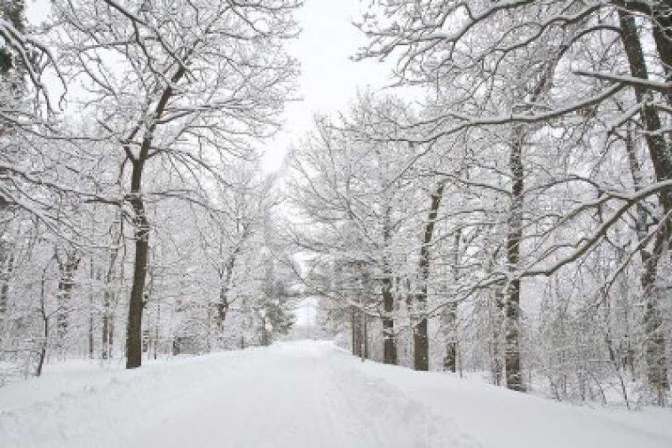 Snowfall as a child