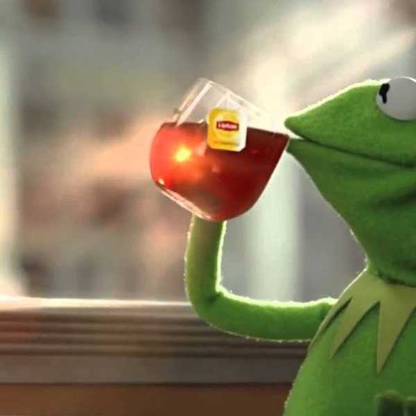 An Open Letter to Kermit The Frog