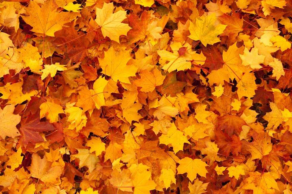 50 Things to be Thankful For