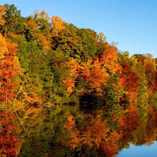 5 Things To Be Thankful For