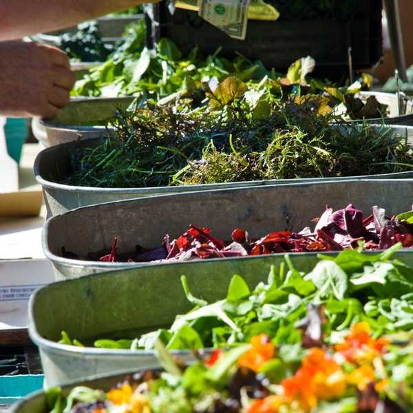 Destigmatizing veganism