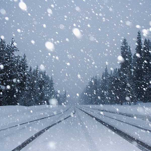 Snow is a Simple Pleasure