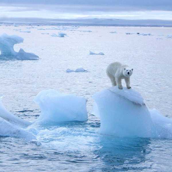 Holidays and Climate Change