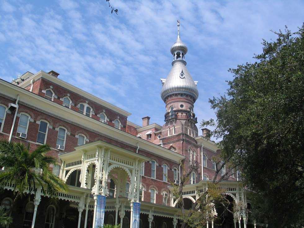 University Of Tampa Odyssey Creator Of The Week: Natalie Cammalleri