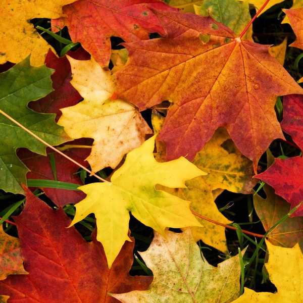 Some Thoughts Besides The U.S. Election