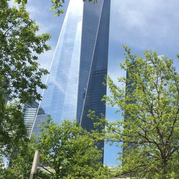 Please Wake Up America