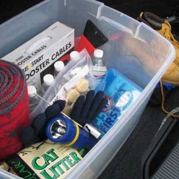 The Essential Winter Survival Guide