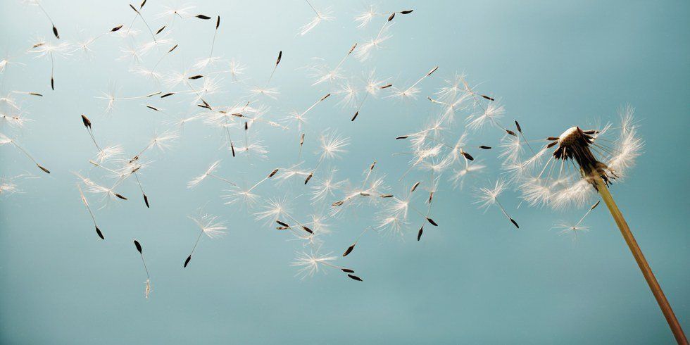 A Letter to the Person Making an Effort