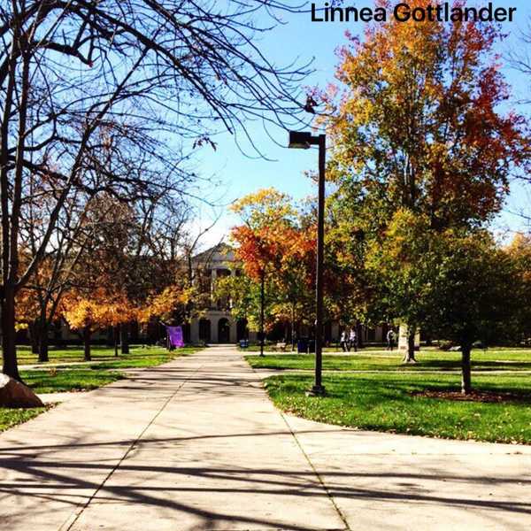 15 Signs You Are Over this Semester
