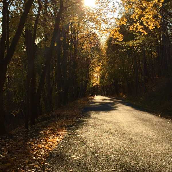 Choose Gratitude