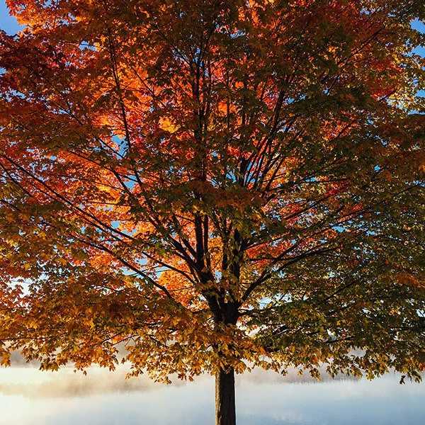 7 Things To Talk About Instead Of Politics At Your Thanksgiving Dinner