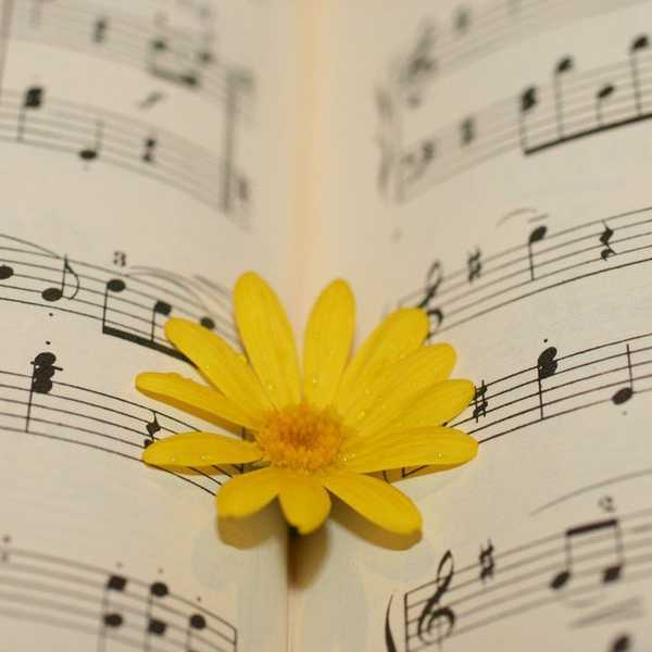 The Beauty of Music