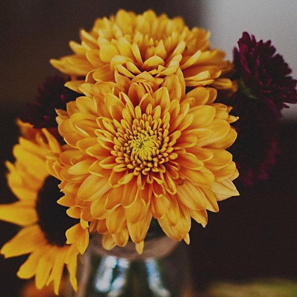 Remembering and Giving Thanks