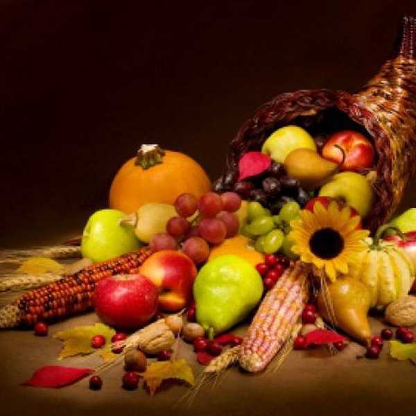 9 Reasons Why You Should Be Celebrating Thanksgiving