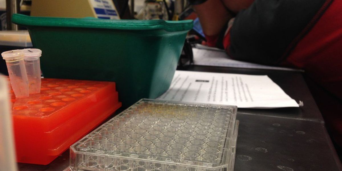 Lab Partner Friends Lessons Learned from Lab Partners | The Odyssey Online