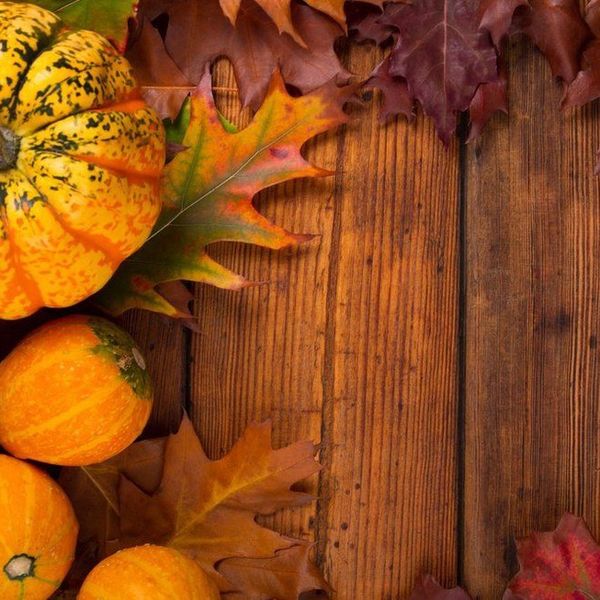 One Thing I'm Thankful For?