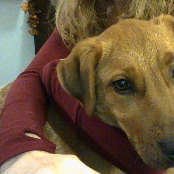 5 Ways My Pets Are My Therapy