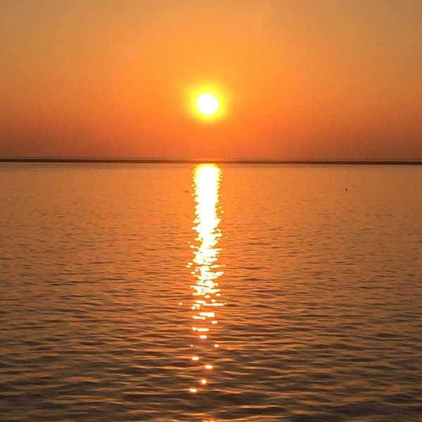 Finding Purpose In the Sunrise