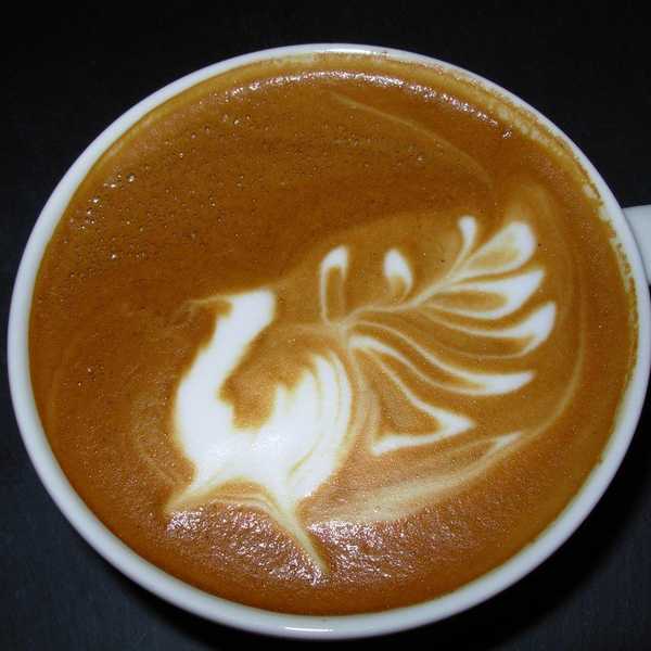 7 Questions College Kids Don't Want To Answer This Holiday Season