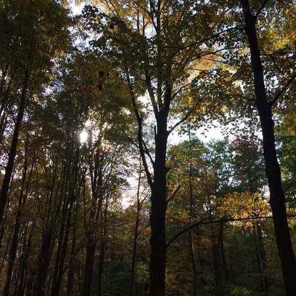 Poem: Changing Seasons