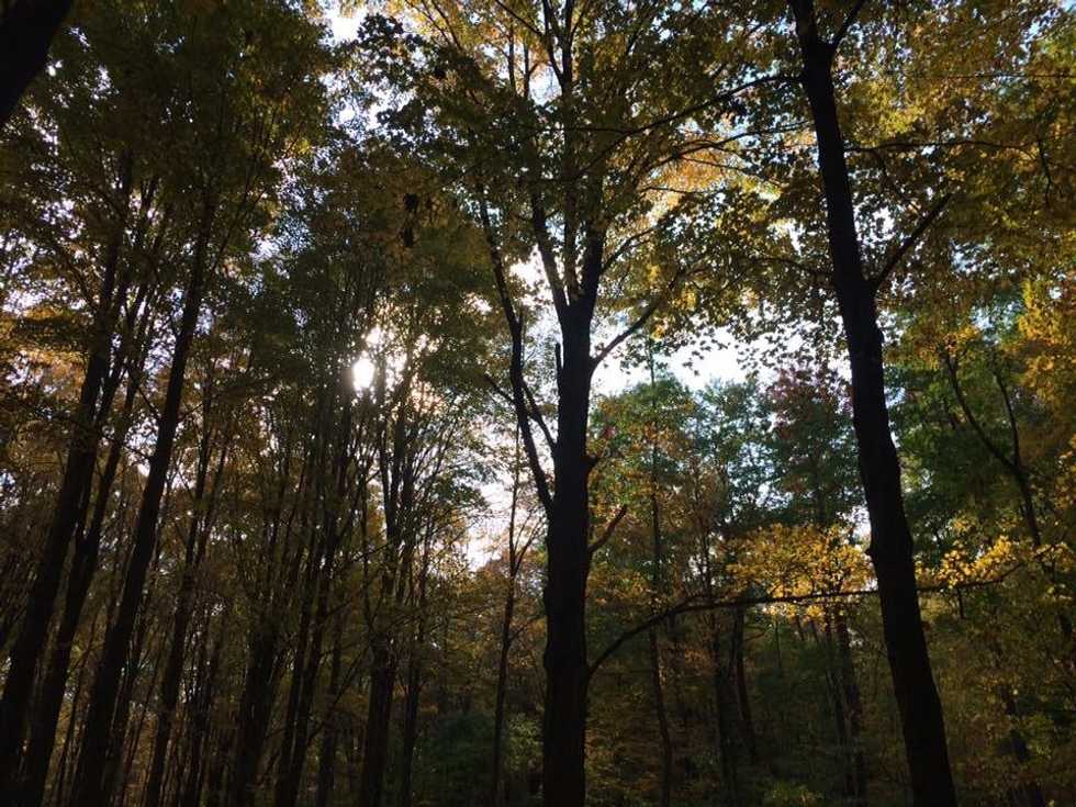 Poem: Changing Seasons