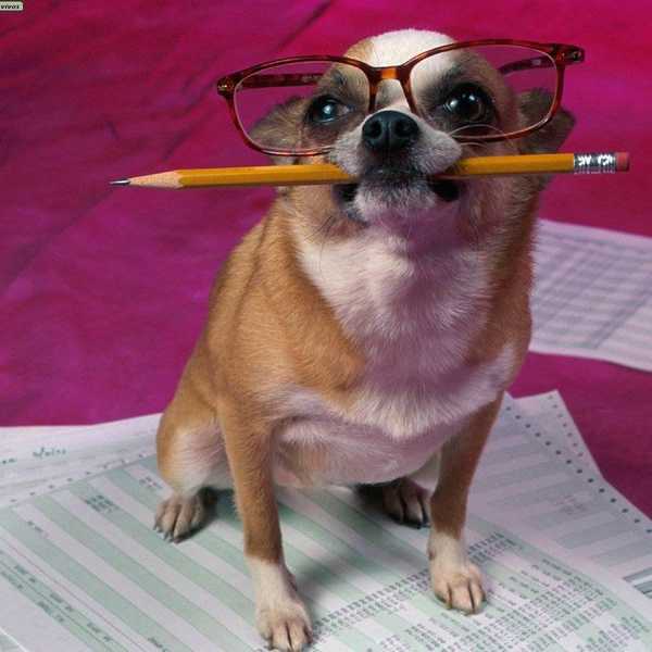 5 Things I Wish I Knew Before My First College Finals