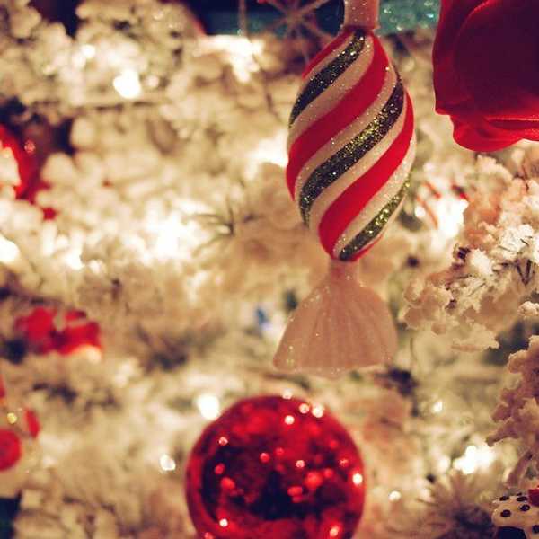 10 Things That Excite College Students For The Holiday Season