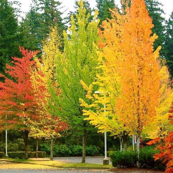 My 10 Favorite Things about Thanksgiving Break