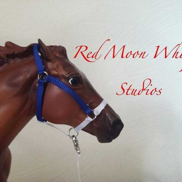 So You Want To Own Your Own Business?