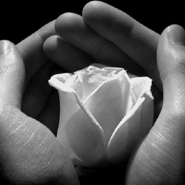 Weakness At Its Strongest (Part One)