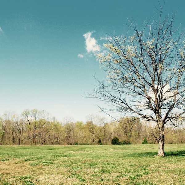 If I could go back in time, what would I tell myself?