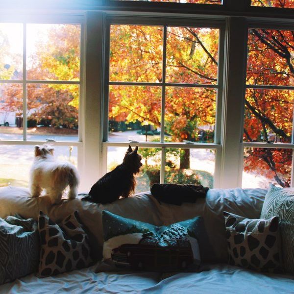 The Art of Thankfulness