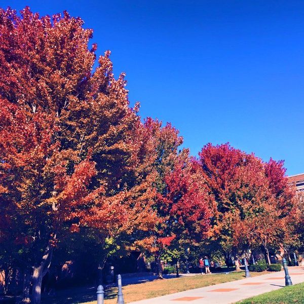 5 Reasons Thanksgiving is the Best