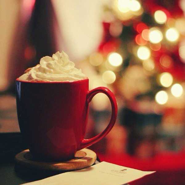 5 Festive Things To Get Excited About