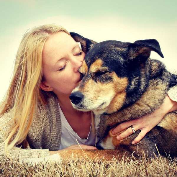6 Reasons To Unconditionally Love Dogs