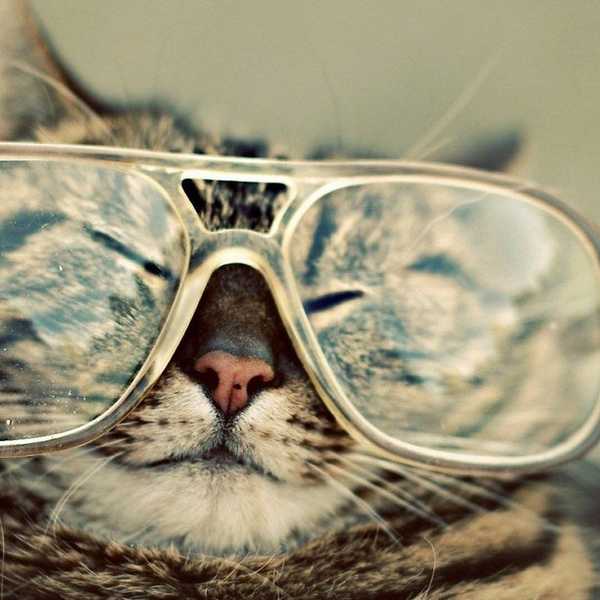 If You Wear Glasses, You Understand